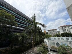 Hillview Green (D21), Condominium #525614921